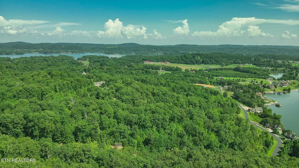 393 W Mountain Drive Rockwood TN 37854