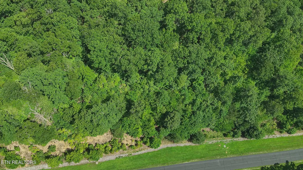 393 W Mountain Drive Rockwood TN 37854
