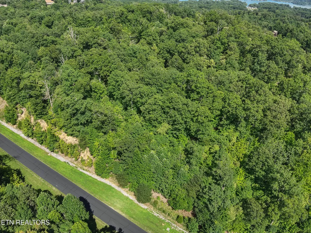 393 W Mountain Drive Rockwood TN 37854