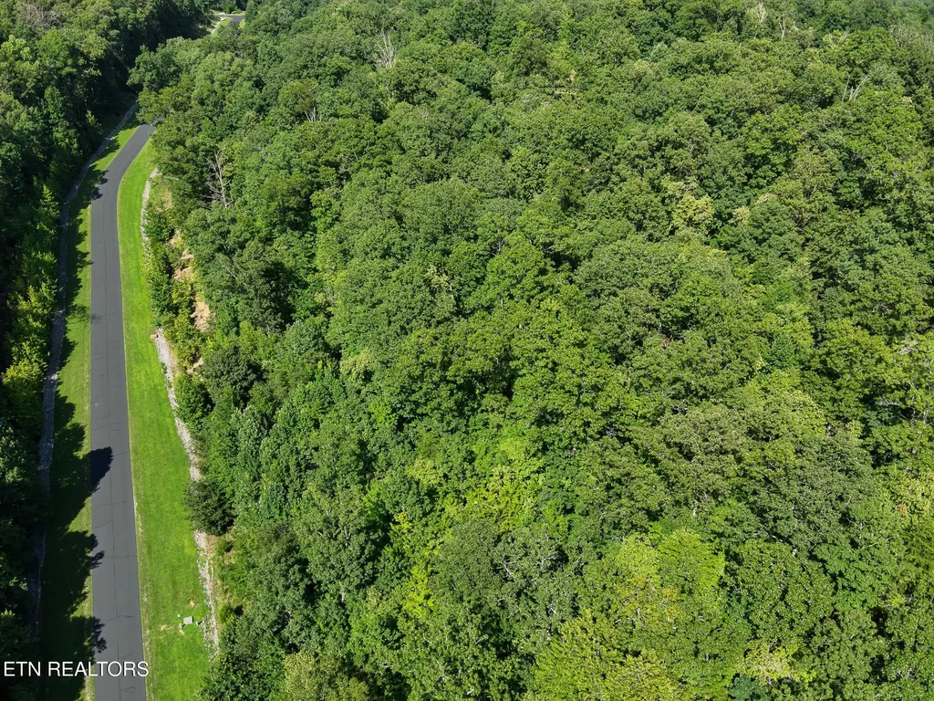 393 W Mountain Drive Rockwood TN 37854
