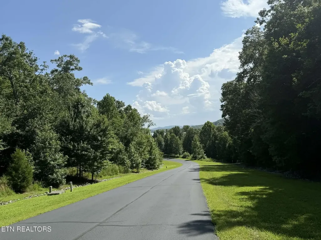 393 W Mountain Drive Rockwood TN 37854