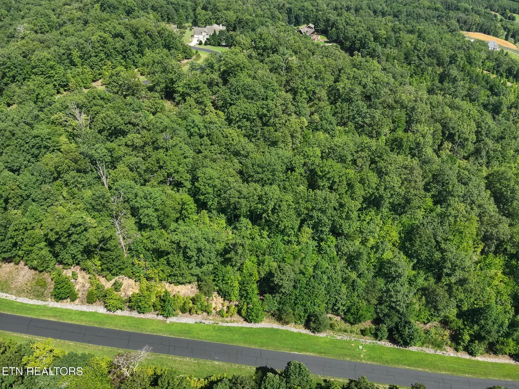 393 W Mountain Drive Rockwood TN 37854