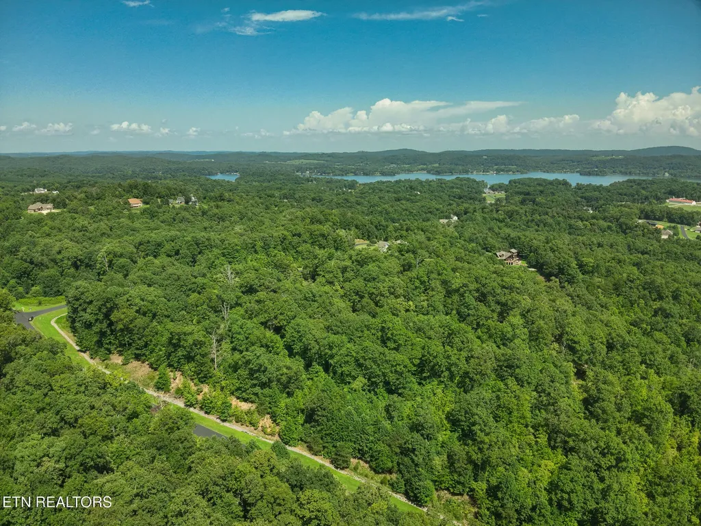 393 W Mountain Drive Rockwood TN 37854