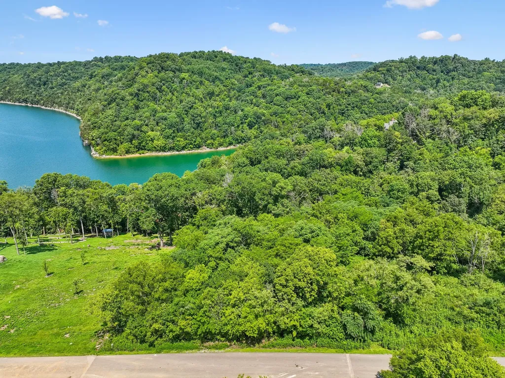 47 Harbor Court Silver Point TN 38582