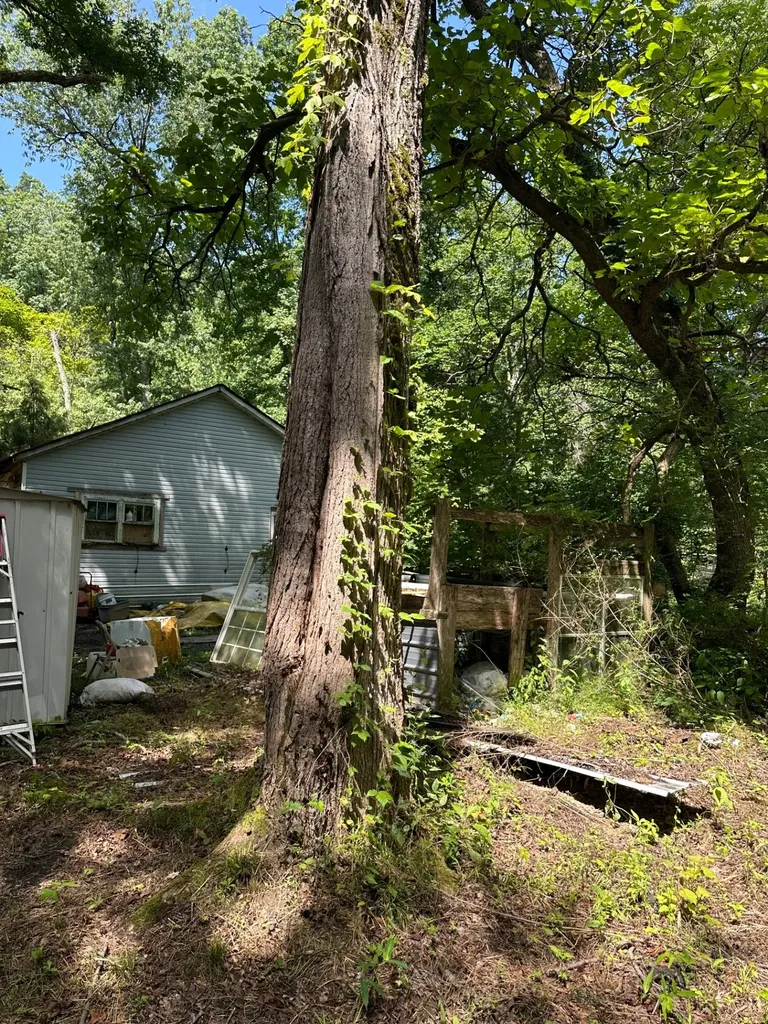 1003 Highway 48, S Centerville TN 37033