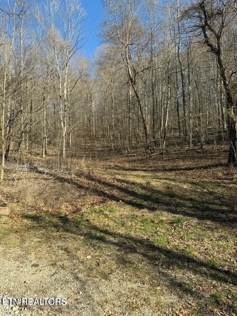 0 Jackson Ridge Road Tazewell TN 37879