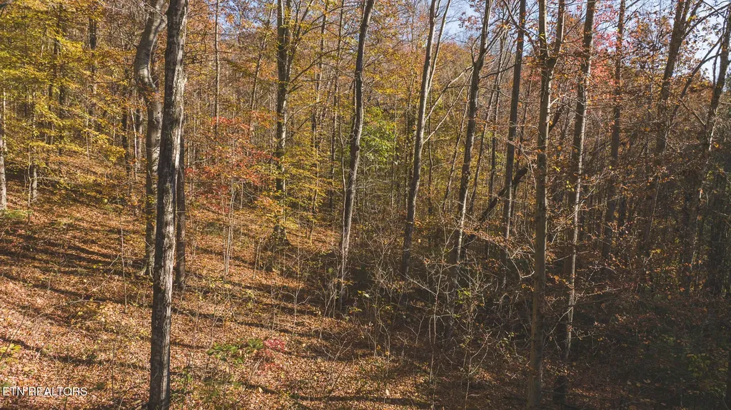 0 Jackson Ridge Road Tazewell TN 37879