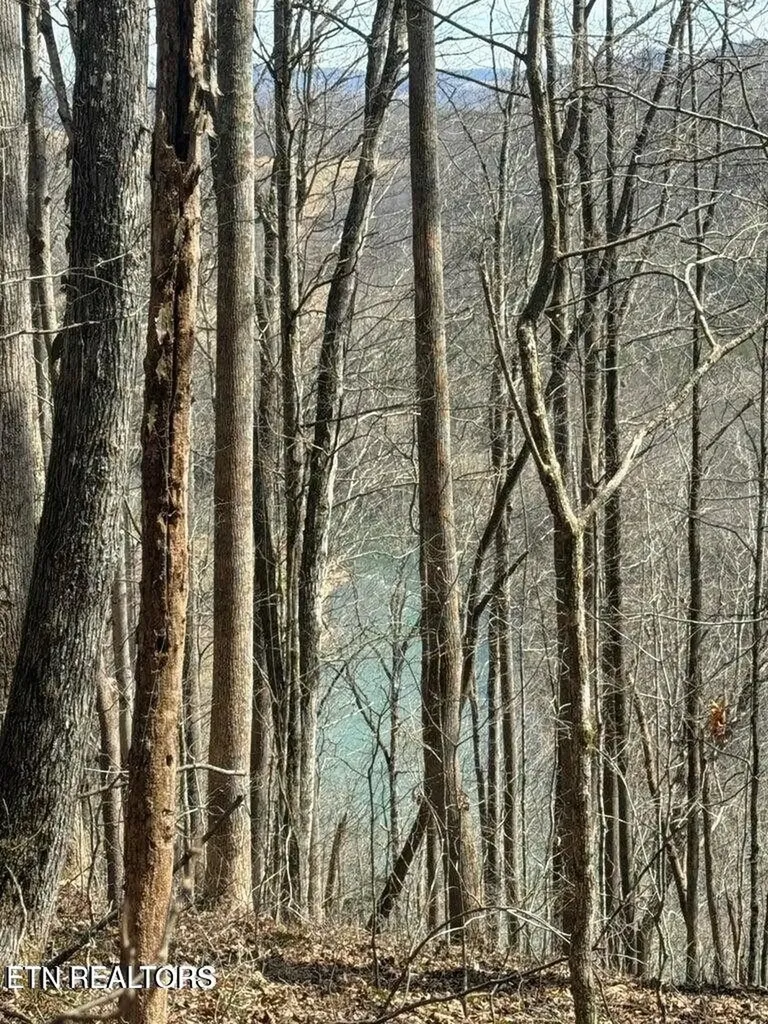 0 Jackson Ridge Road Tazewell TN 37879