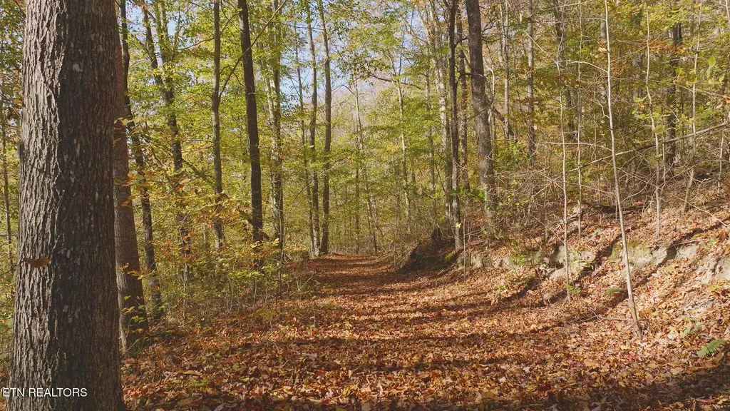 0 Jackson Ridge Road Tazewell TN 37879