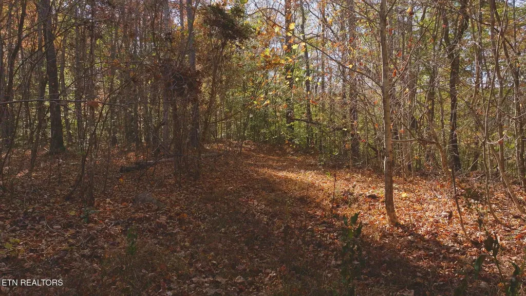0 Jackson Ridge Road Tazewell TN 37879