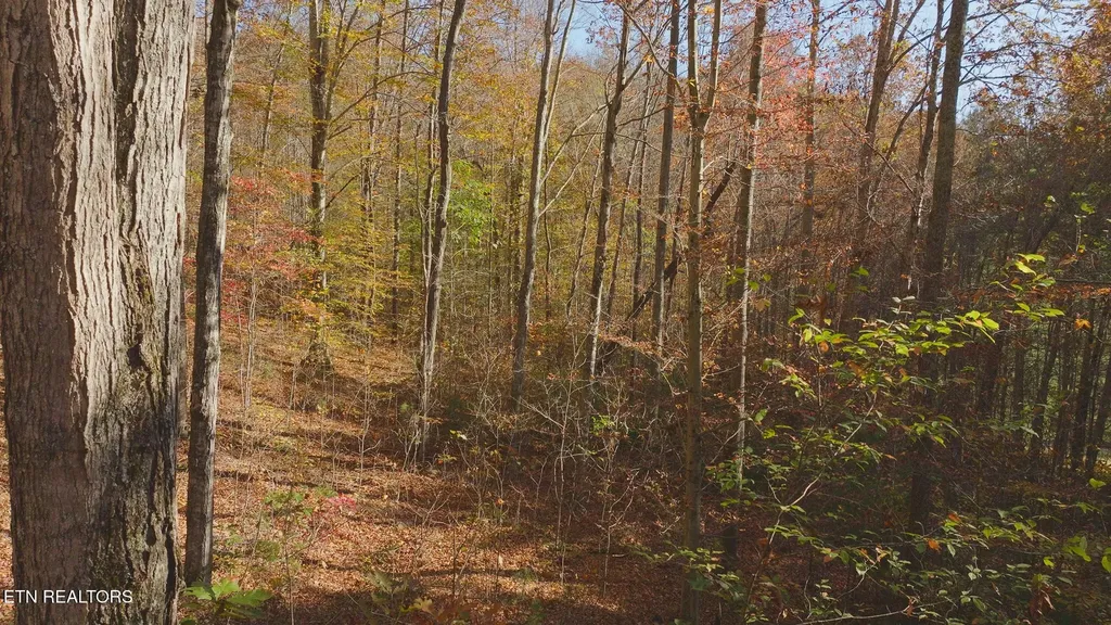 0 Jackson Ridge Road Tazewell TN 37879