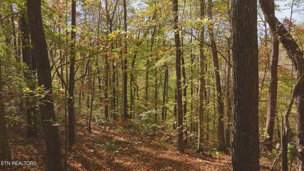0 Jackson Ridge Road Tazewell TN 37879