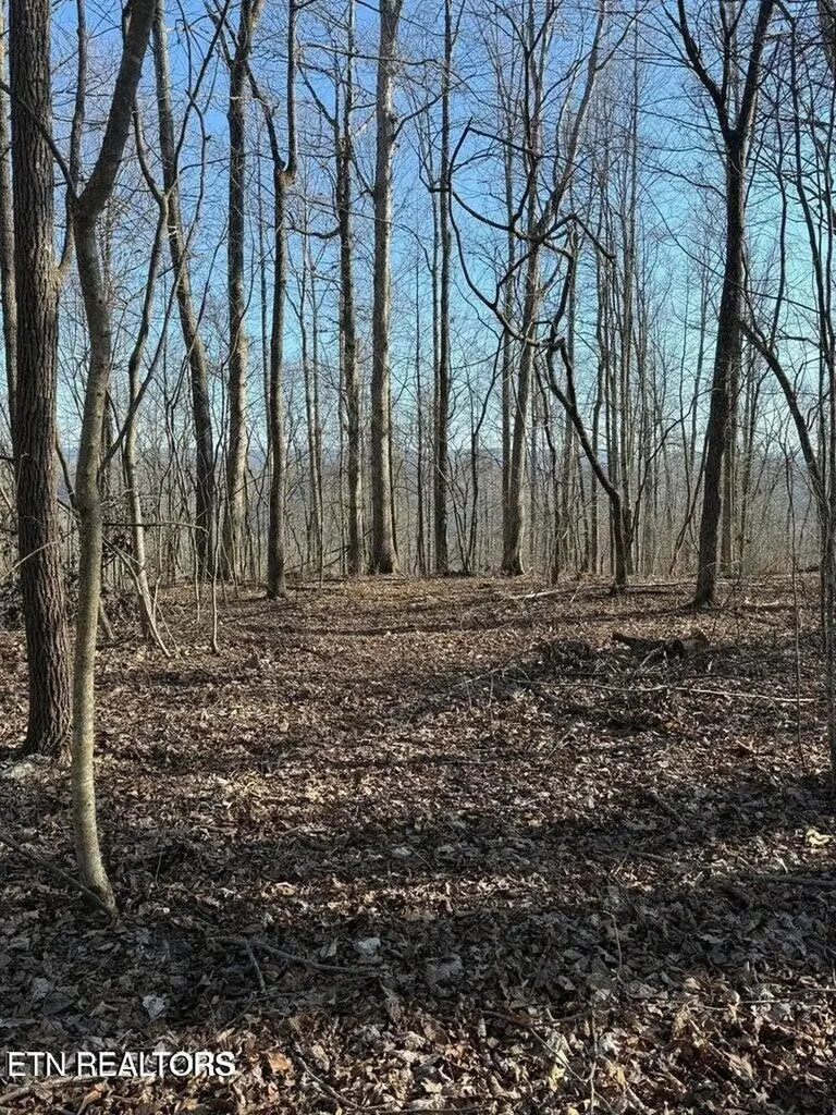 0 Jackson Ridge Road Tazewell TN 37879