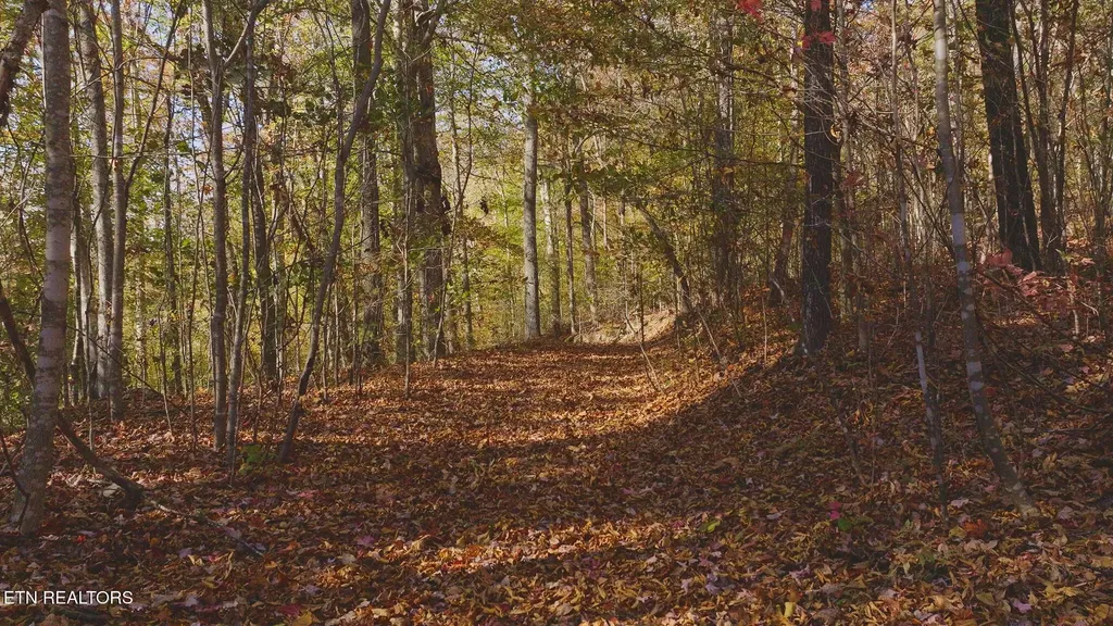 0 Jackson Ridge Road Tazewell TN 37879