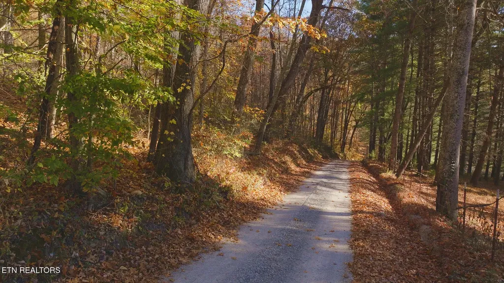 0 Jackson Ridge Road Tazewell TN 37879