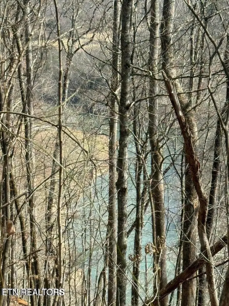 0 Jackson Ridge Road Tazewell TN 37879