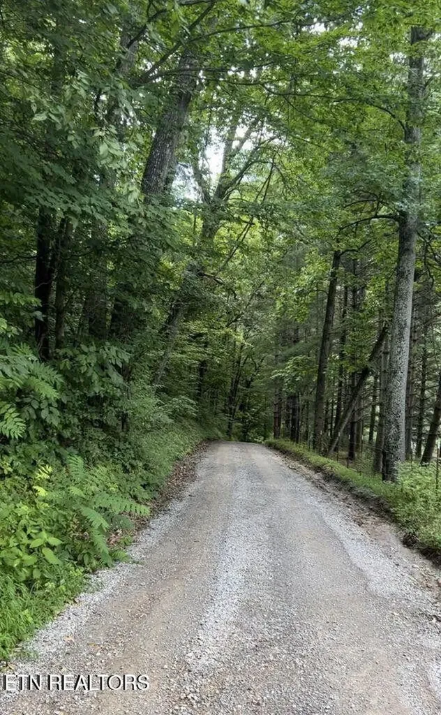 0 Jackson Ridge Road Tazewell TN 37879