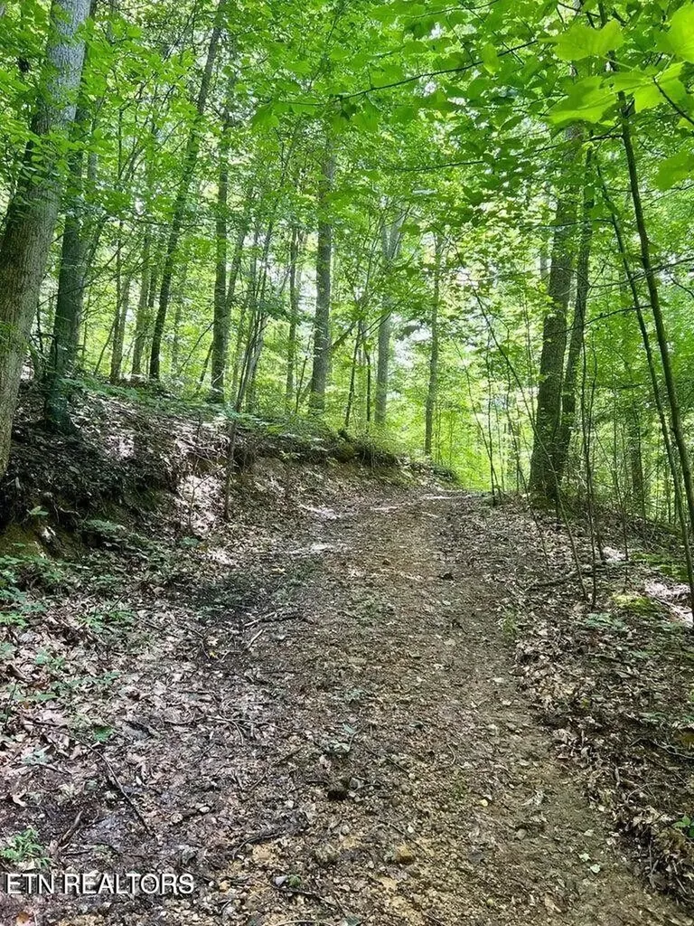 0 Jackson Ridge Road Tazewell TN 37879