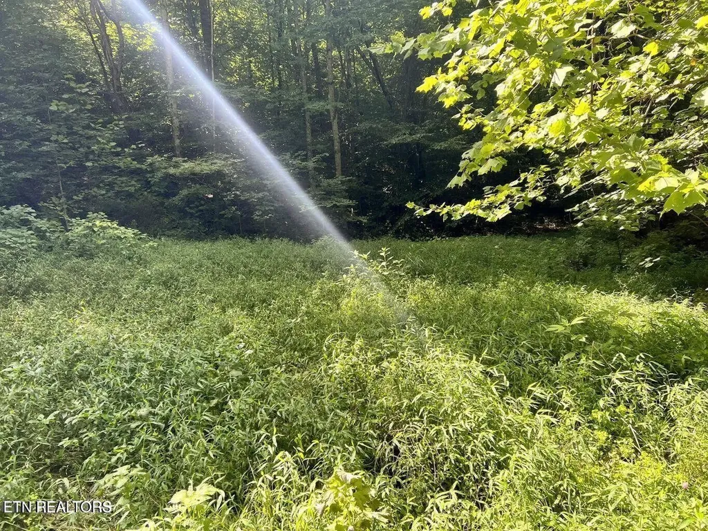 0 Jackson Ridge Road Tazewell TN 37879