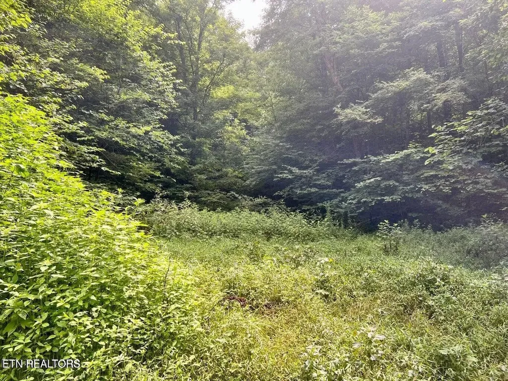 0 Jackson Ridge Road Tazewell TN 37879