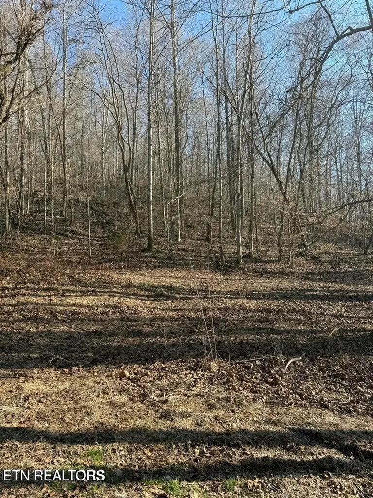 0 Jackson Ridge Road Tazewell TN 37879