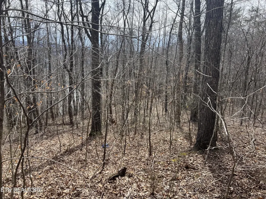 0 Jackson Ridge Road Tazewell TN 37879