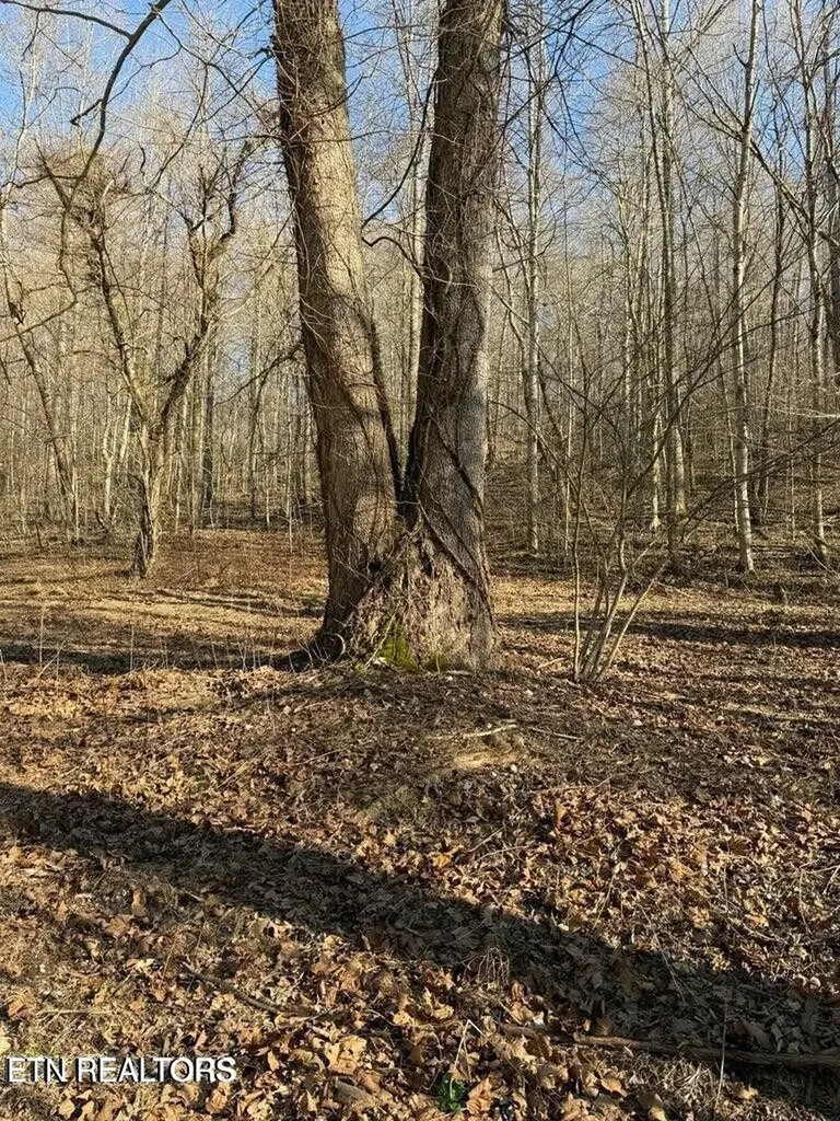 0 Jackson Ridge Road Tazewell TN 37879