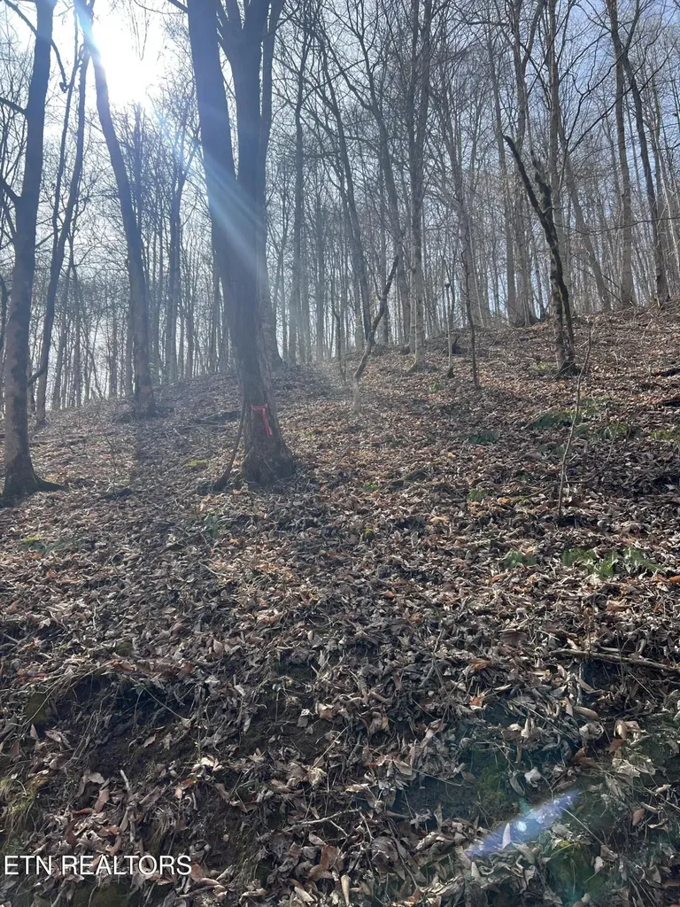 0 Jackson Ridge Road Tazewell TN 37879