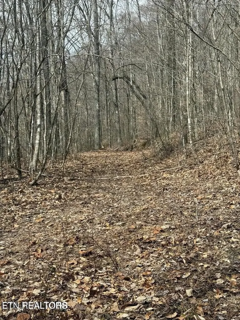 0 Jackson Ridge Road Tazewell TN 37879