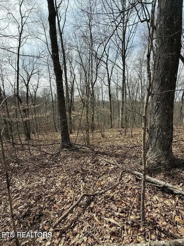 0 Jackson Ridge Road Tazewell TN 37879