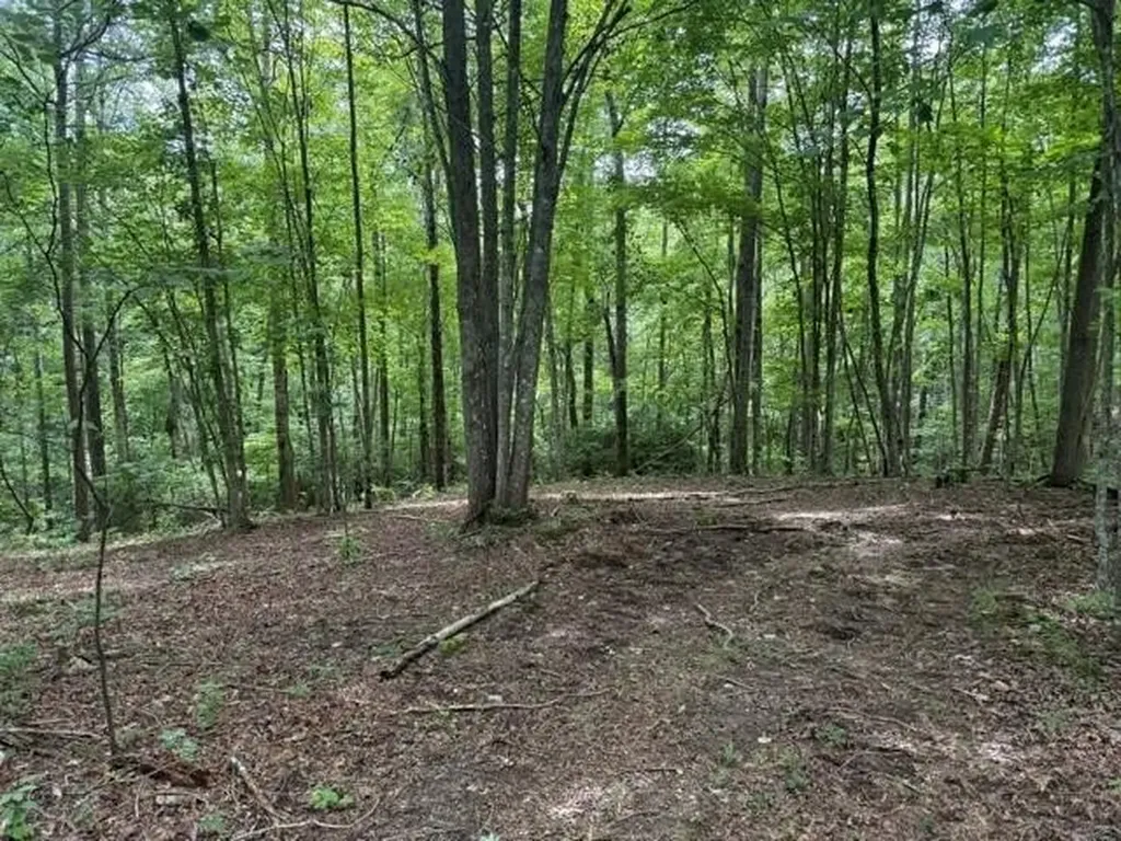 3 S Pittsburg Mountain Road South Pittsburg TN 37380