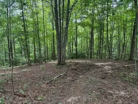 3 S Pittsburg Mountain Road South Pittsburg TN 37380