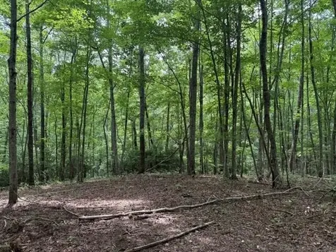 3 S Pittsburg Mountain Road South Pittsburg TN 37380