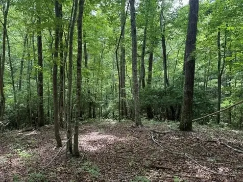 3 S Pittsburg Mountain Road South Pittsburg TN 37380