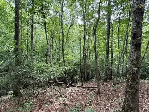 3 S Pittsburg Mountain Road South Pittsburg TN 37380