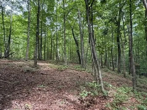 3 S Pittsburg Mountain Road South Pittsburg TN 37380