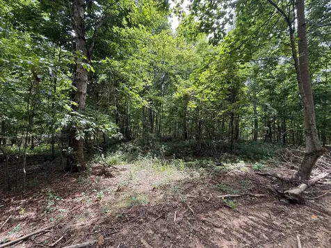 3 S Pittsburg Mountain Road South Pittsburg TN 37380