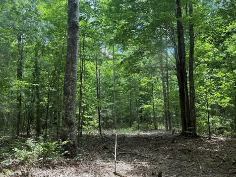 3 S Pittsburg Mountain Road South Pittsburg TN 37380