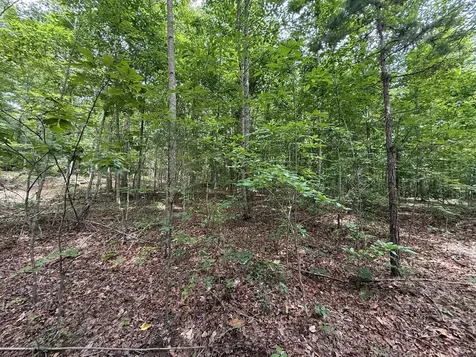 3 S Pittsburg Mountain Road South Pittsburg TN 37380