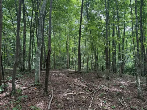 3 S Pittsburg Mountain Road South Pittsburg TN 37380