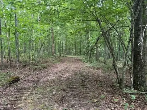 3 S Pittsburg Mountain Road South Pittsburg TN 37380