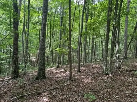 3 S Pittsburg Mountain Road South Pittsburg TN 37380