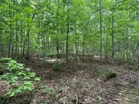 3 S Pittsburg Mountain Road South Pittsburg TN 37380