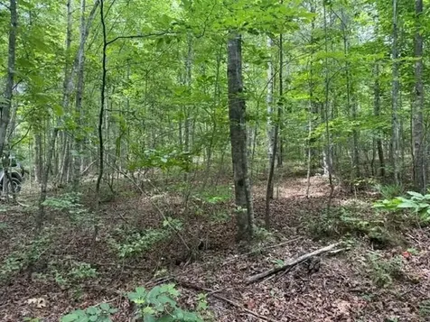3 S Pittsburg Mountain Road South Pittsburg TN 37380
