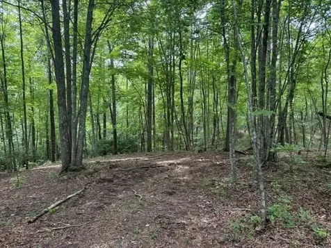 3 S Pittsburg Mountain Road South Pittsburg TN 37380
