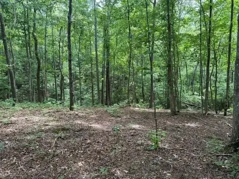 3 S Pittsburg Mountain Road South Pittsburg TN 37380