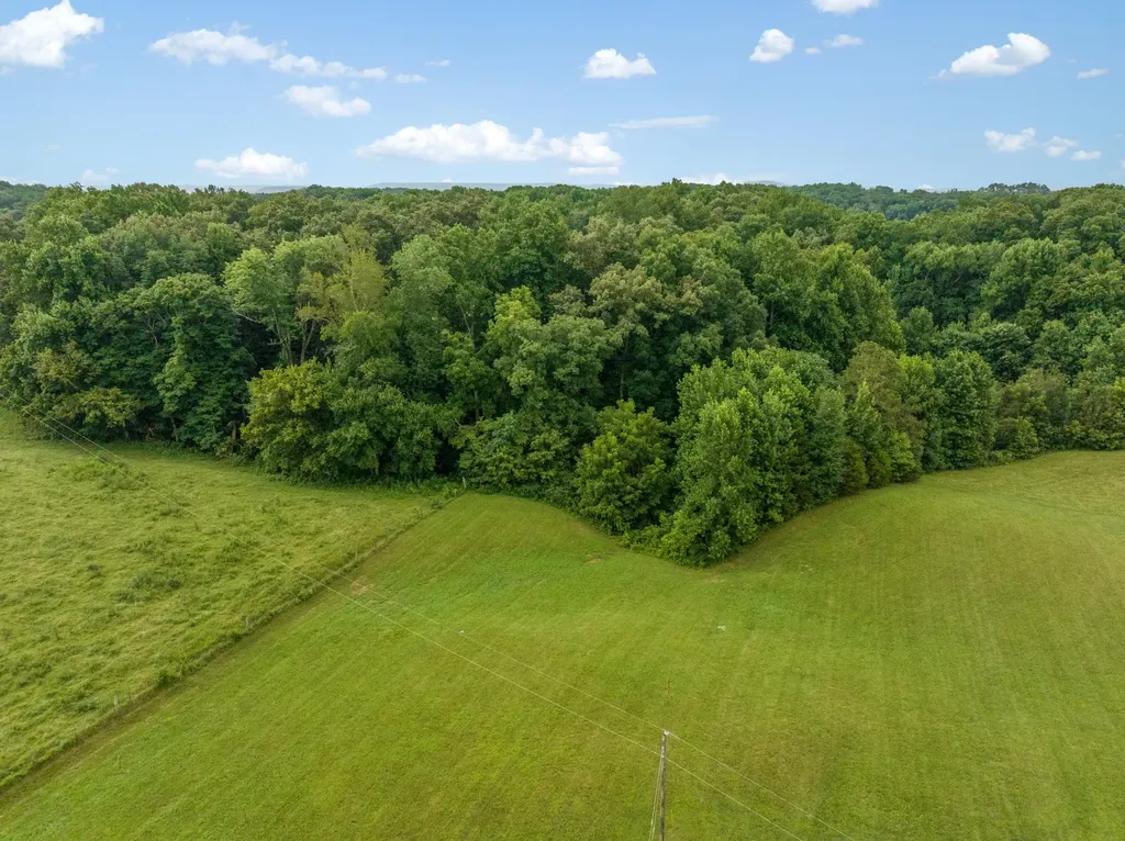 4895 Webbs Camp Road Walling TN 38587