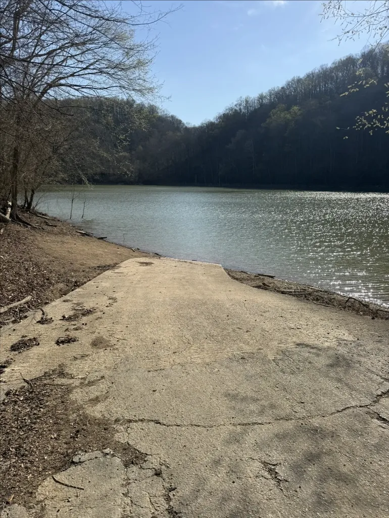 4895 Webbs Camp Road Walling TN 38587