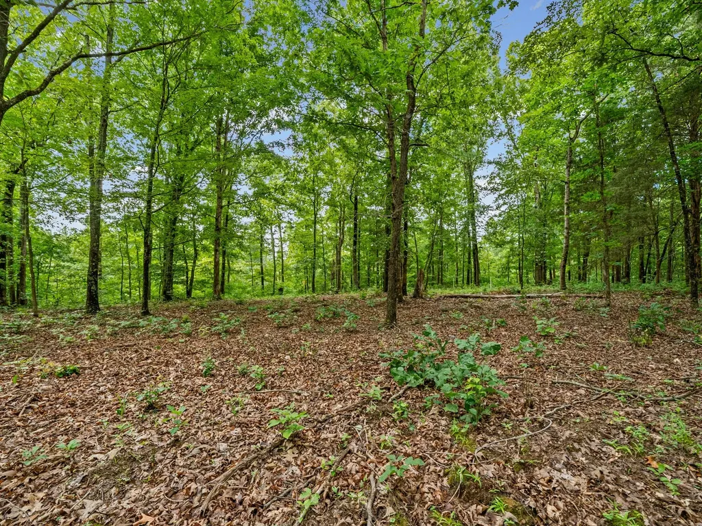 0 Old Highway 13 Cumberland City TN 37050