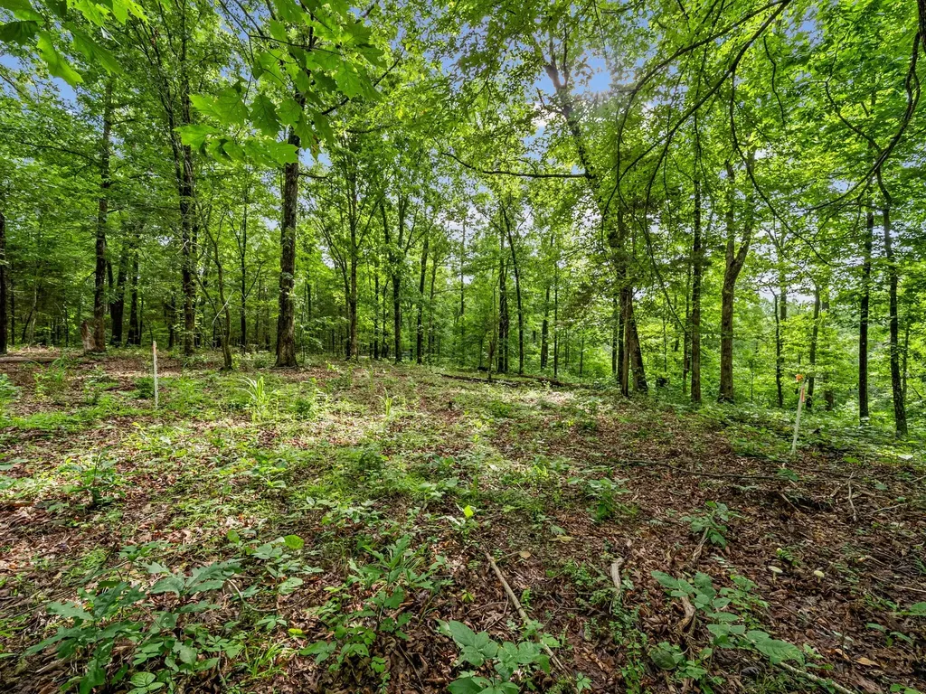 0 Old Highway 13 Cumberland City TN 37050